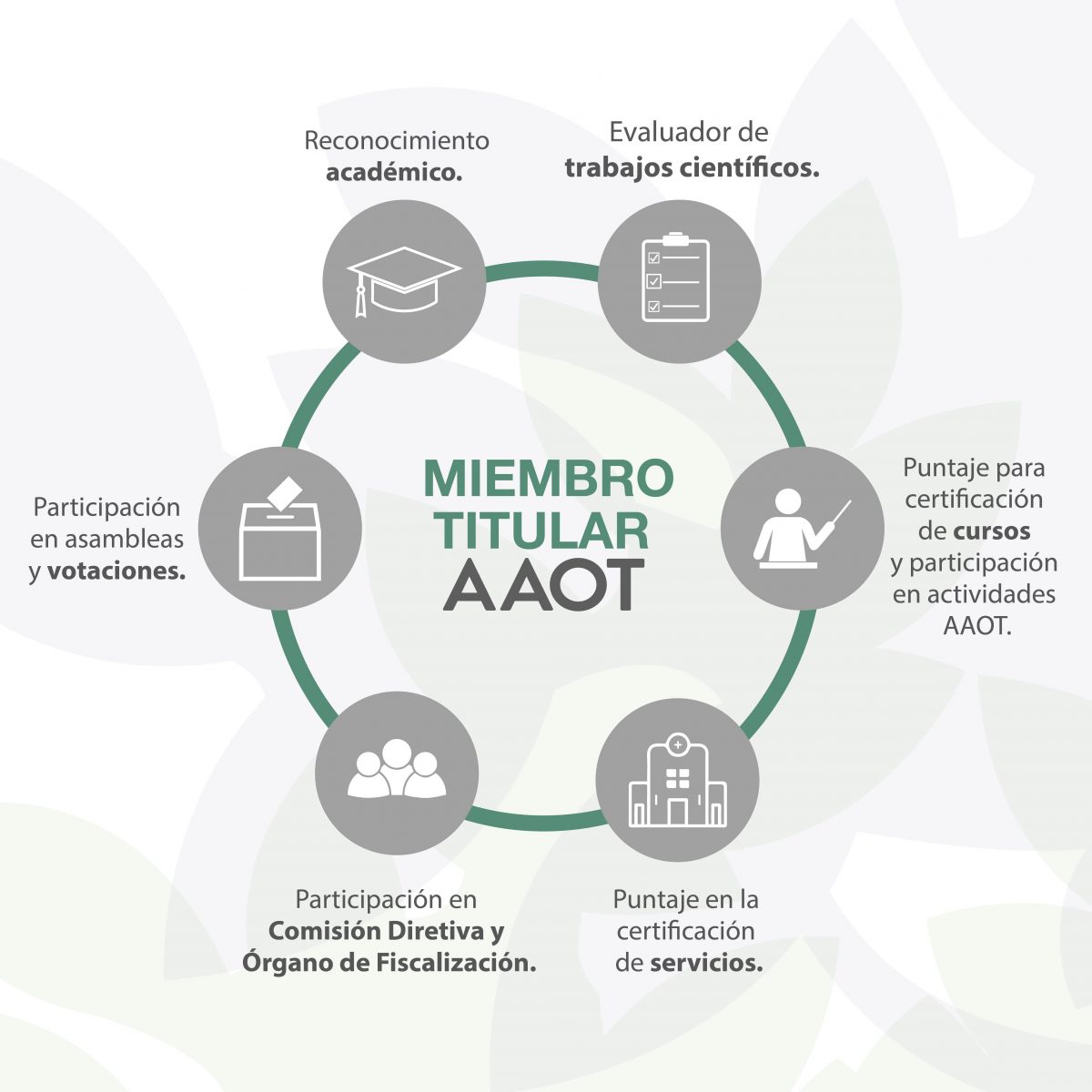Opción a Miembro Titular – AAOT