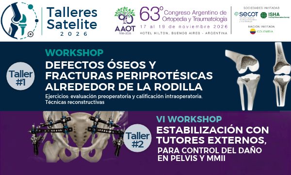 talleres satelite-rodilla-tutores-600x362